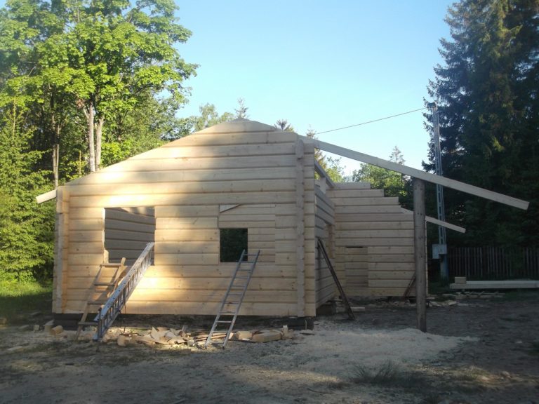 konstrukcja domu z plazow w lesie