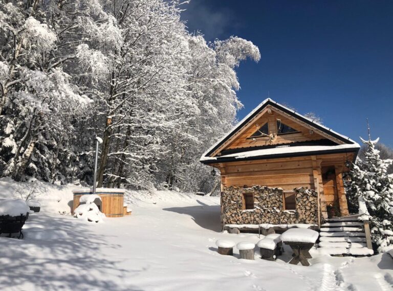 dom drewniany w sniegu